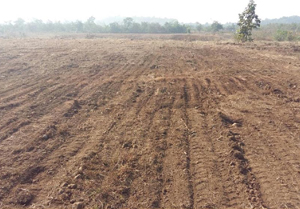 industrial land in sinnar malegaon